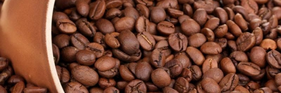 Imagen descriptiva de la noticia: ¿Qué hace de especial el café de especialidad? 